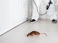 Фото компании ООО ДезИнспектор 5