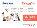 Фото компании ИП BookingCat 3