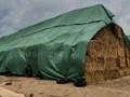 Фото компании  Сэйвитекс 3