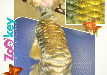 Рыбка золотая кому-то покажется шишкой или ананасом))) Стрижка и окраска шерсти для настроения!