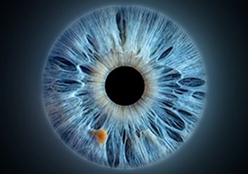 Фото компании  MemoriesUral 4