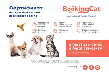 Фото компании ИП BookingCat 3