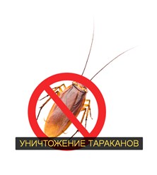 Уничтожение тараканов и клопов во Владимире