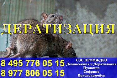 Фото компании ООО Профи - Дез 5