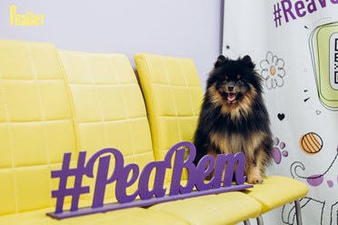 Фото компании  "Реавет" 5