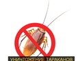 Уничтожение тараканов и клопов во Владимире