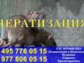 Фото компании ООО Профи - Дез 5