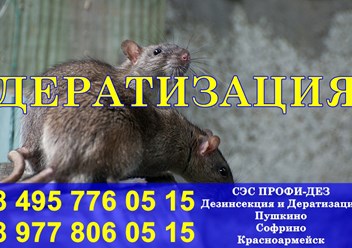 Фото компании ООО Профи - Дез 5