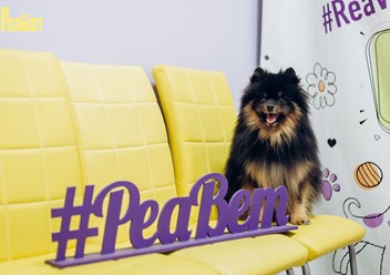 Фото компании  "Реавет" 5