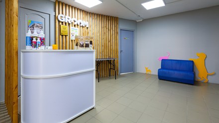 Фото компании  Groom 12