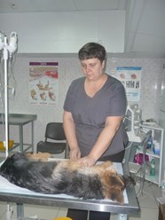 Фото компании ООО Ветеринарная клиника "Лапушки" 3