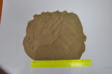 Фото компании  Сухой песок 6