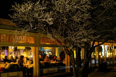 Фото компании  НАША Dacha, ресторан 123