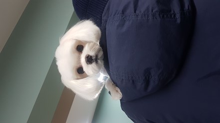 Фото компании  MamagrooM 2