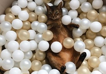 Фото компании ИП Anlishop 1