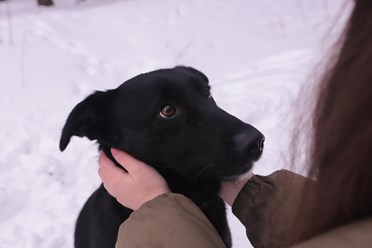 Фото компании  РОО «Экология человека» 5