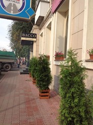 Фото компании  Bacco, итальянский ресторан 13