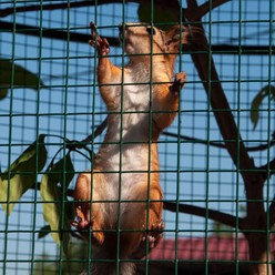 Фото компании  Рица, кафе 63