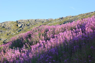 Фото компании  Поездки в териберку 7