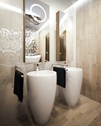 Санузел: визуализация