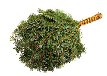 Фото компании ООО Банщик НН 2