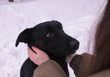 Фото компании  РОО «Экология человека» 5