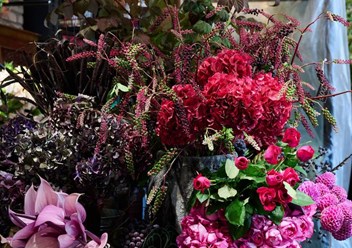 Фото компании ИП Jardin Botanique 2