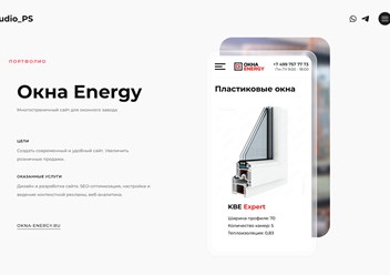 Портфолио