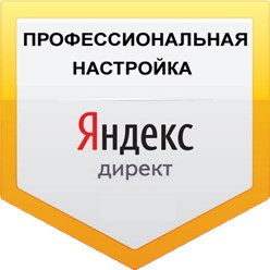 Создание и ведение рекламных кампаний в Яндекс Директ и Google Adwords.