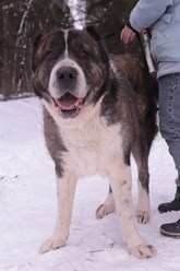 Фото компании  РОО «Экология человека» 4