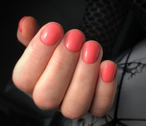 Фото компании  Барбарис 4