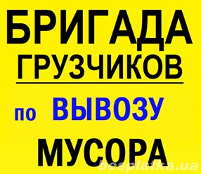 Фото компании ИП Орлов А.В. Вывоз мусора в Курске 11