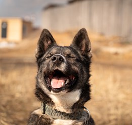 Фото компании  РОО «Экология человека» 8