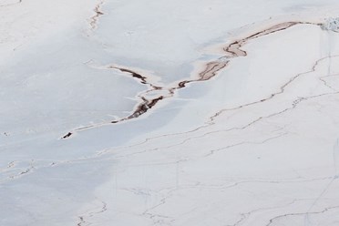 Паллисандро Реале (Мрамор)  и еще более 500 видов натурального камня ждут Вас на складе MagmaStones.