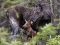Фото компании ООО Урал Турс 4