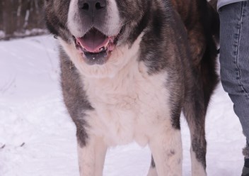 Фото компании  РОО «Экология человека» 4