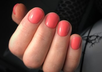 Фото компании  Барбарис 4