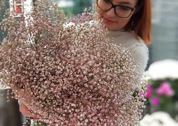 Фото компании ООО Салон «Flori» 2