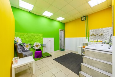 Фото компании  ВертиХвостка 2