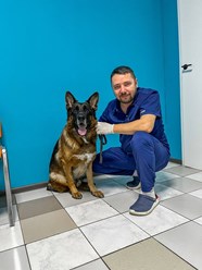 Фото компании  "Лапка" 10