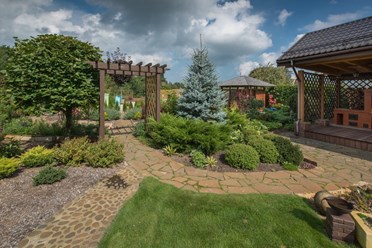 Фото компании  Красивые деревья 2