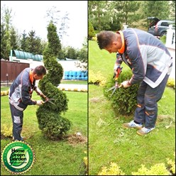 Фото компании  Ландшафтный дизайн Московской области | Home Green Garden 7