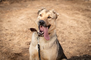 Фото компании  РОО «Экология человека» 18