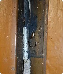 Фото компании  ЭкоПрофКлин 4