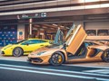 Фото компании  Lamborghini Club Russia 4