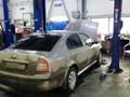 Фото компании ООО Skoda163 3