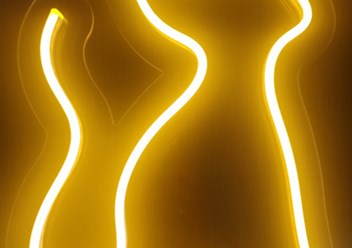 Неоновая вывеска "Роза" никогда не завянет и не погибнет, поэтому станет отличной альтернативой обычным розам. Ее можно преподнести в подарок маме или любимой девушке - она станет напоминанием ваших т