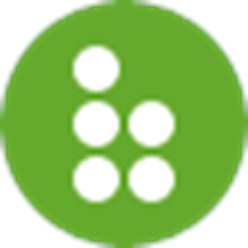 Belingo logo, IT аутсорсинг