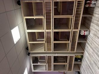 Фото компании  Передержка кошек 1