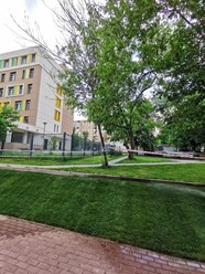 Рулонный газон